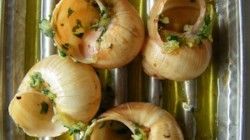 Escargot