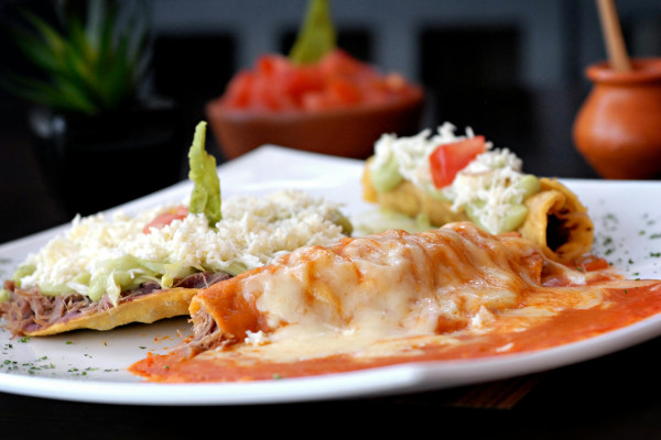 Enchiladbricka (10-Pack)