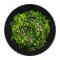 Wakame (Vegano)