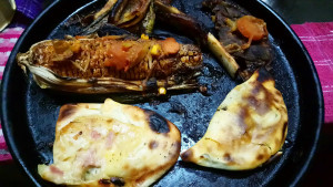 Globe Bay 21/5W 25X50Mm Bl2