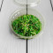 Seaweed Salad
