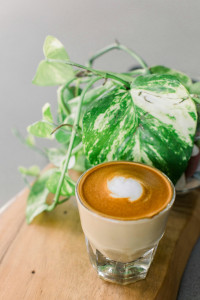 Cortado