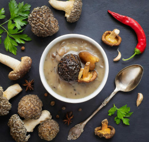 Mushroom Soup