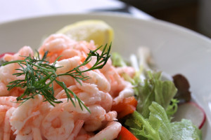 Shrimp Salad