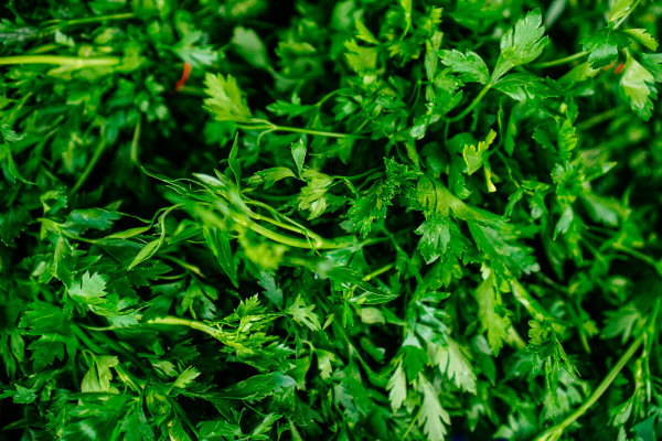 Salada Do Fazendeiro