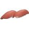 Maguro Nigiri