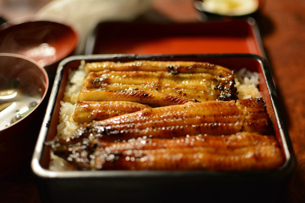 Eel (Unagi)