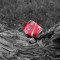 Coca-Cola 0,45L