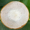 Appam