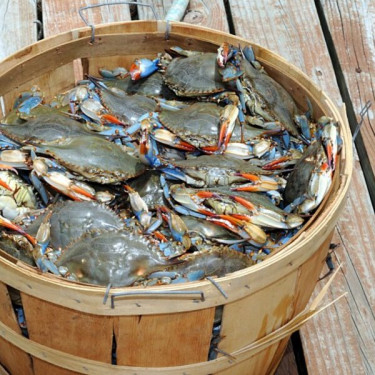 Chesapeake Med Kyckling