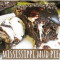Torta Di Fango Del Mississippi