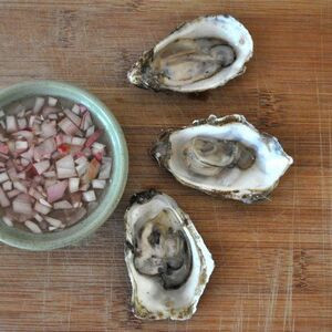 Ostrica Nella Mezza Conchiglia