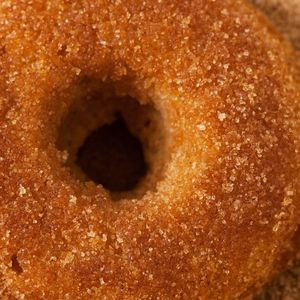 Donut Semplice Al Bolo