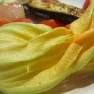 Zucchiniblommor