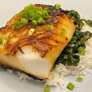 Miso Chilensk Abborre