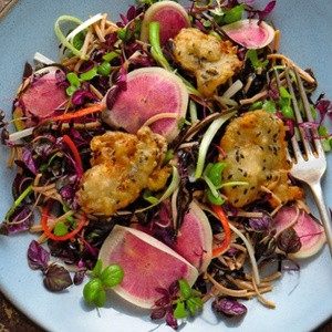 Sin Berro De Cilantro