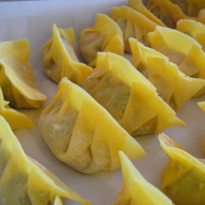Dumplings Al Vapore O Fritti (8)