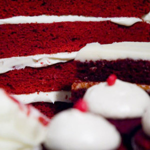 Échantillon De Ailes