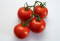 Pomodoro Intero