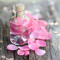 Rosewater