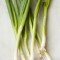 Cime Di Cipolla Verde